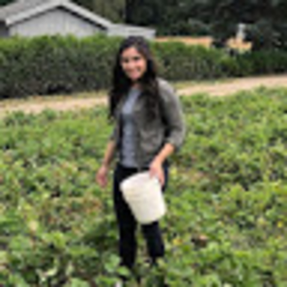 Meet your Posher, Liz